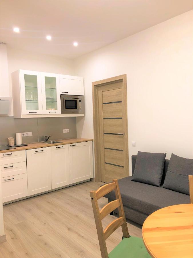 Marijas City Center Apartment Ryga Zewnętrze zdjęcie